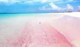 粉色沙滩爆料是真的吗视频,真实视频揭秘神秘海滩之谜